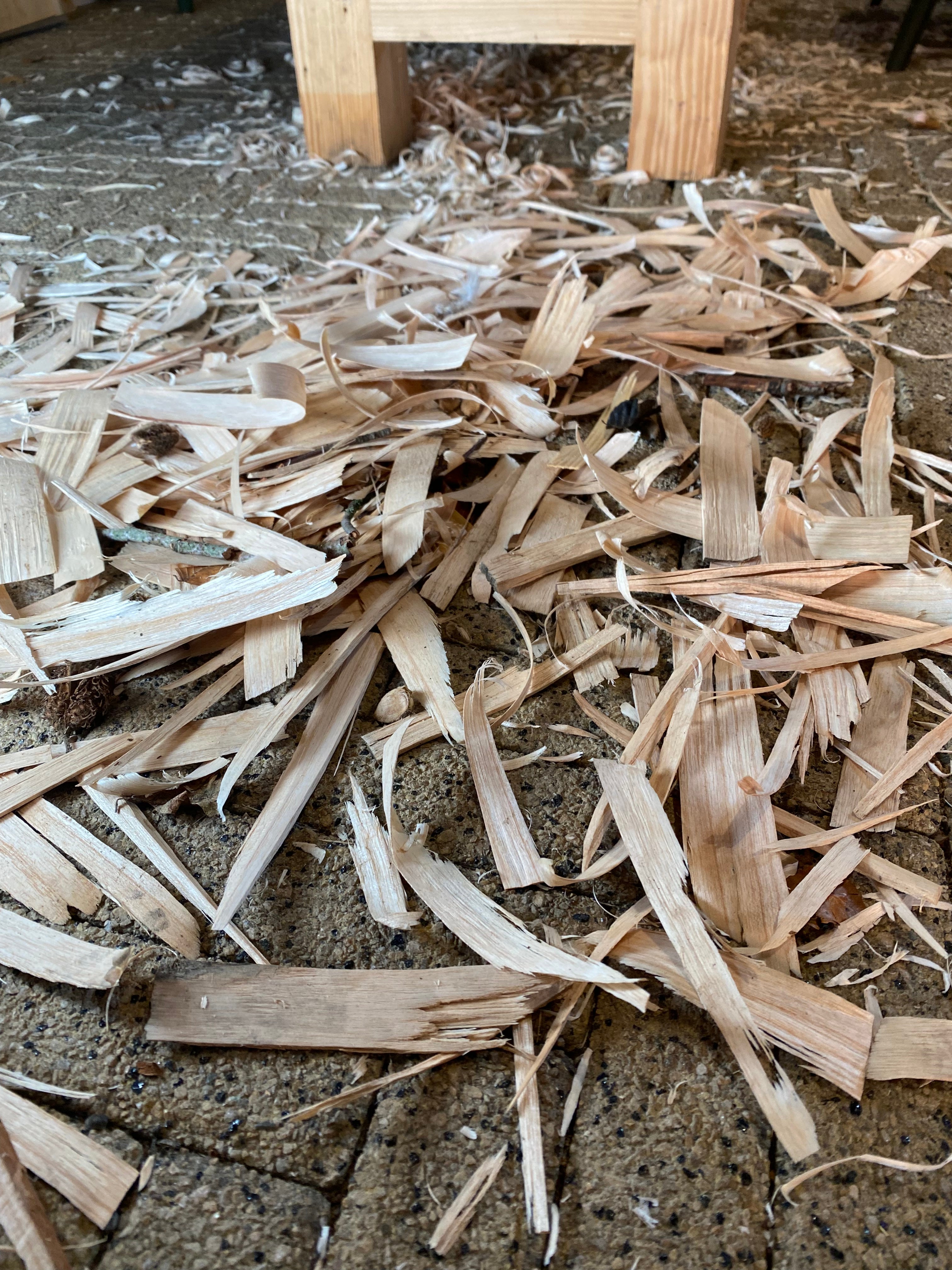 Wood shavings on the workshop floor